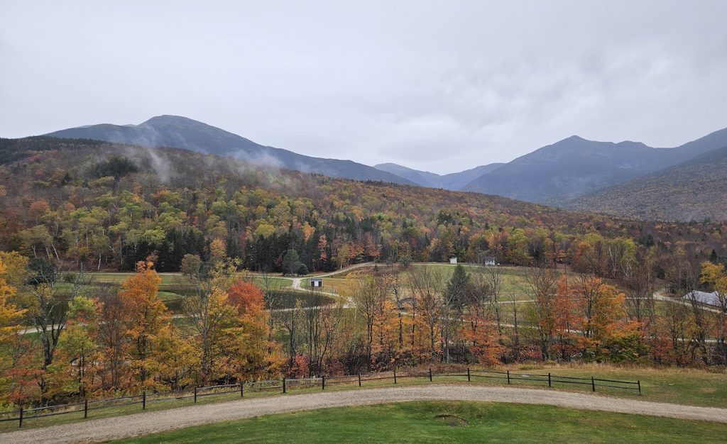 the benefits of bach flower remedies in autumn blog