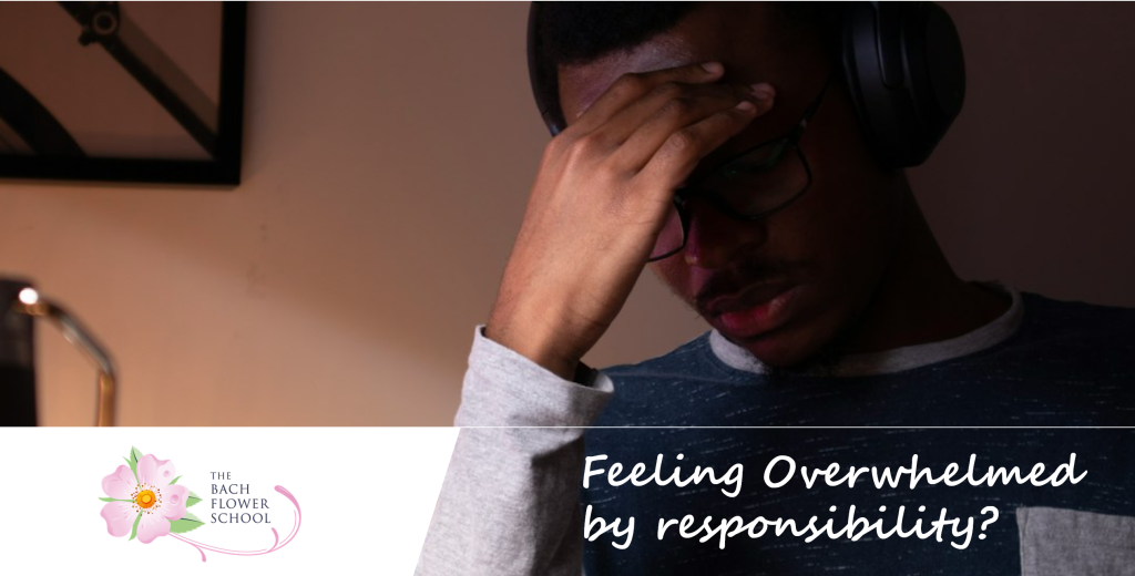 Overwhelmed and don't know what to do next