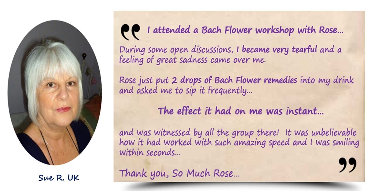 sue bach flower remedy blog star of bethlehem