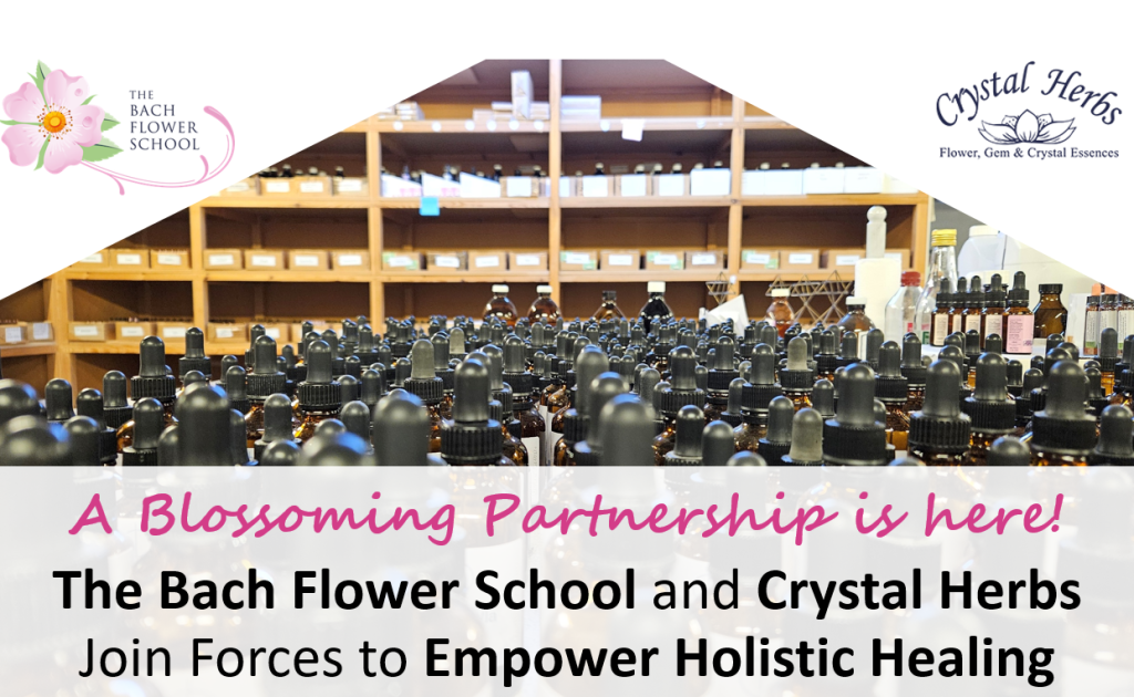 Bach Flower Remedies - Crystal Herbs and Theh Bach Flower School Partnership